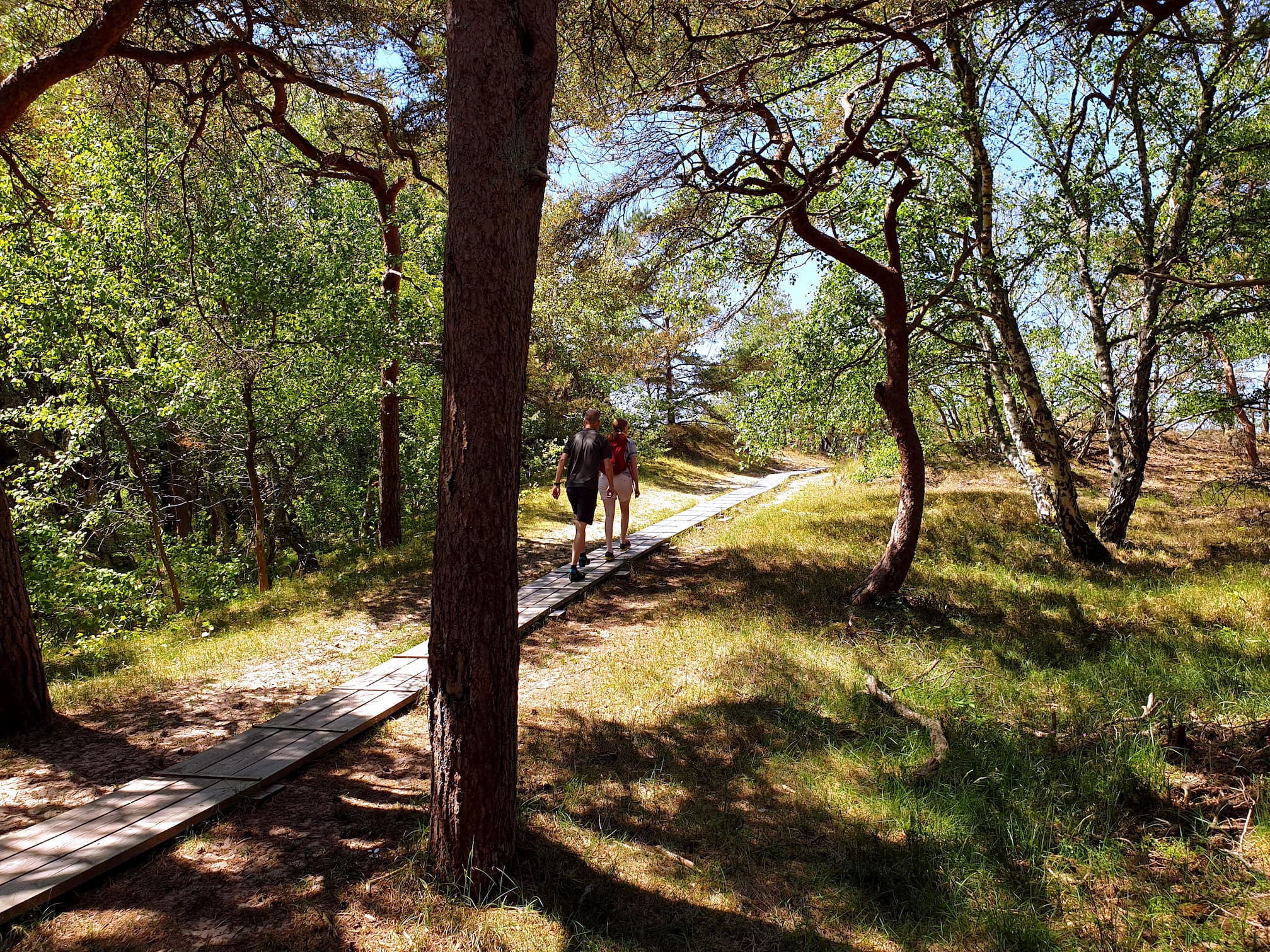Naturvy över Ängelholm